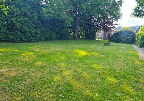 Blick ins Grüne