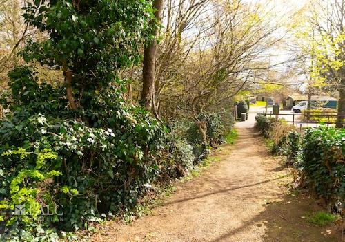 Seitenansicht vom Weg