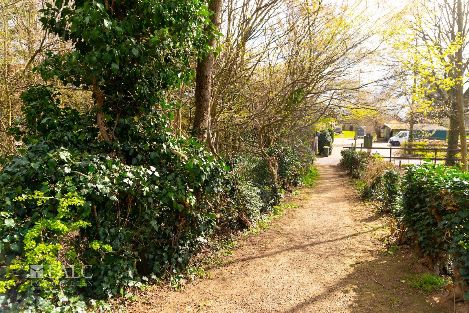 Seitenansicht vom Weg