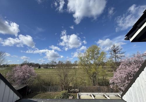 Ausblick Balkon OG