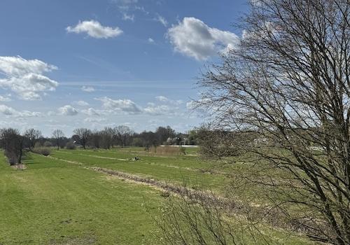 Ausblick Wohnzimmer OG