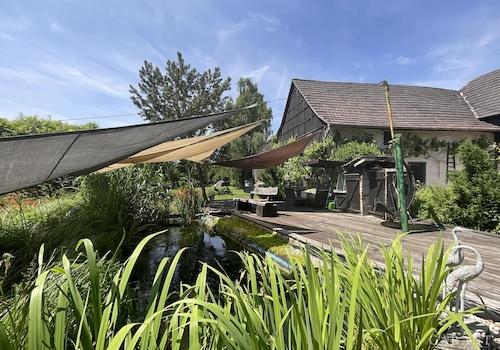 Pool-Teich/Terrasse B1