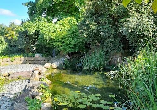 Gartenteich