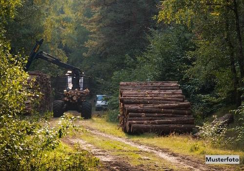 Keine Originalbilder