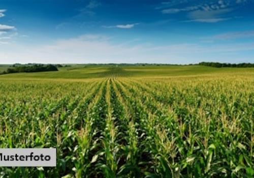 Keine Originalbilder