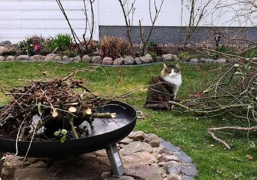 Feuerstelle Ansicht 2