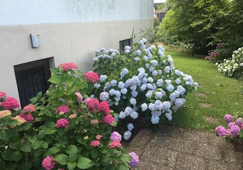 Eingang Gartengeschoss