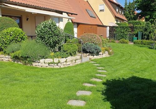 Garten im Sommer