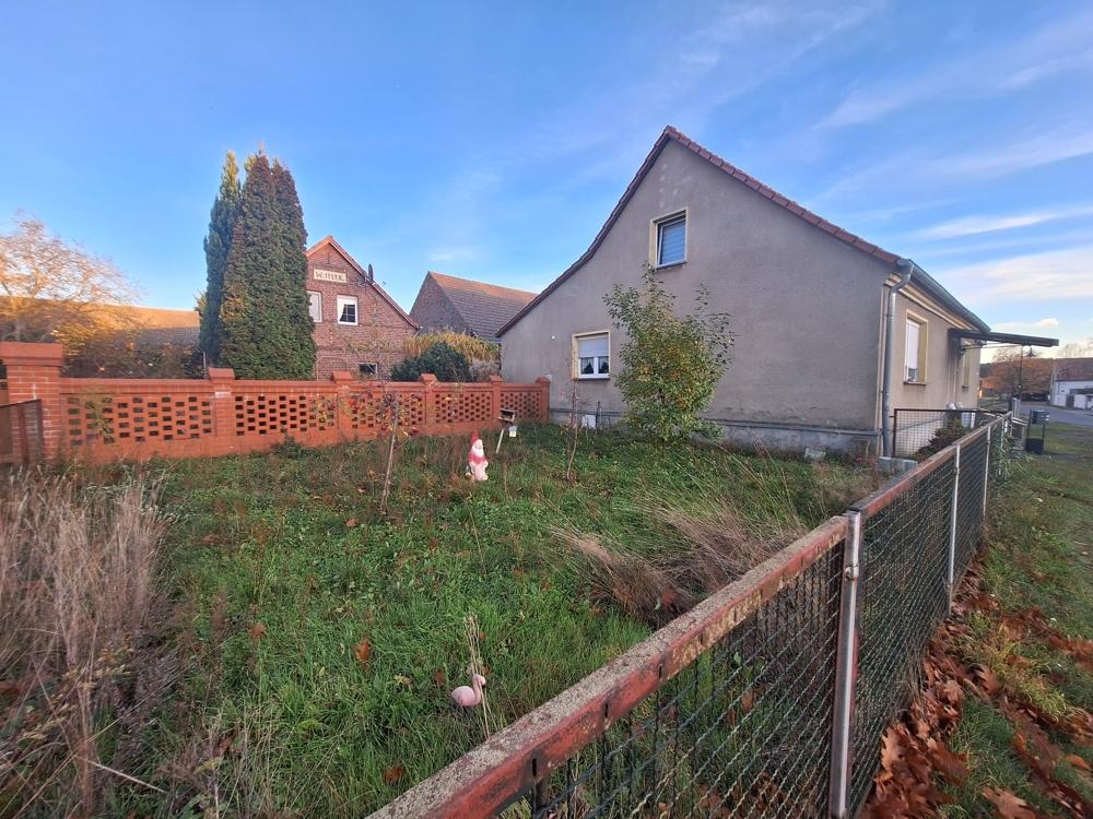 Blick auf den gepachteten Garten