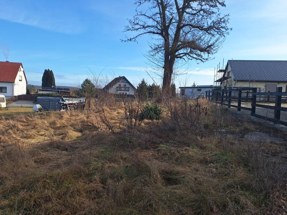 Blick auf das Grundstück