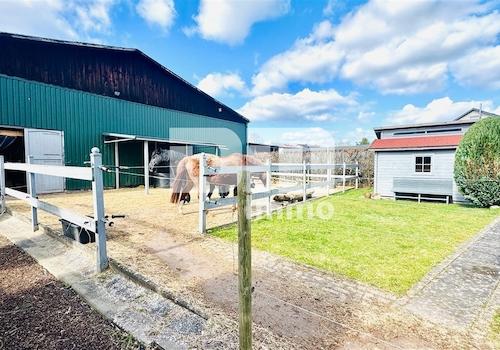 Gebäude 2 Rückansicht Paddock