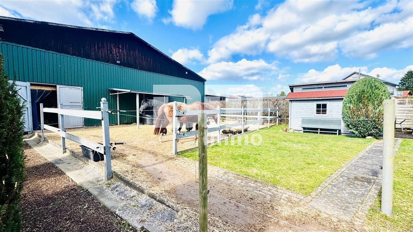 Gebäude 2 Rückansicht Paddock