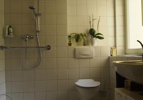 gepflegtes Tageslichtbad