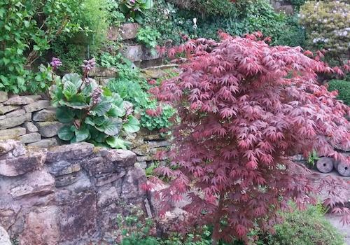 Garten pflegeleicht angelegt