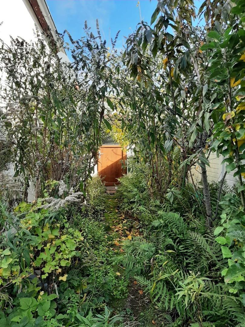 Garten_Blick_zur_Garage