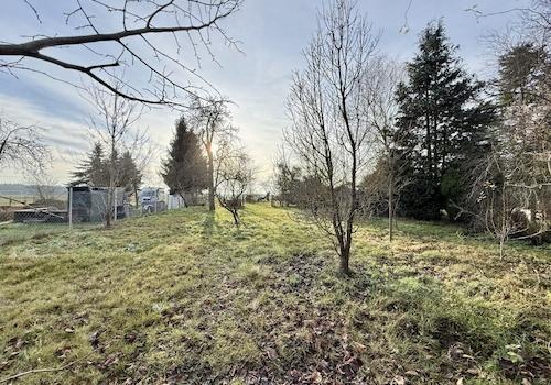 hintere Grundstücksansicht