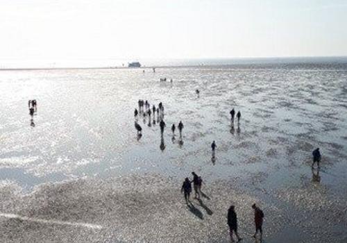 Ferienhaus Lauwersoog kaufen09