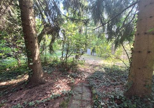 Blick von der Terrasse