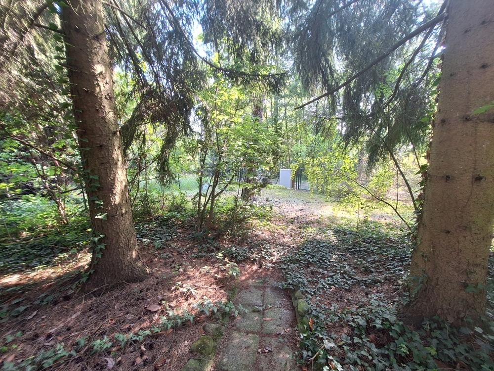 Blick von der Terrasse