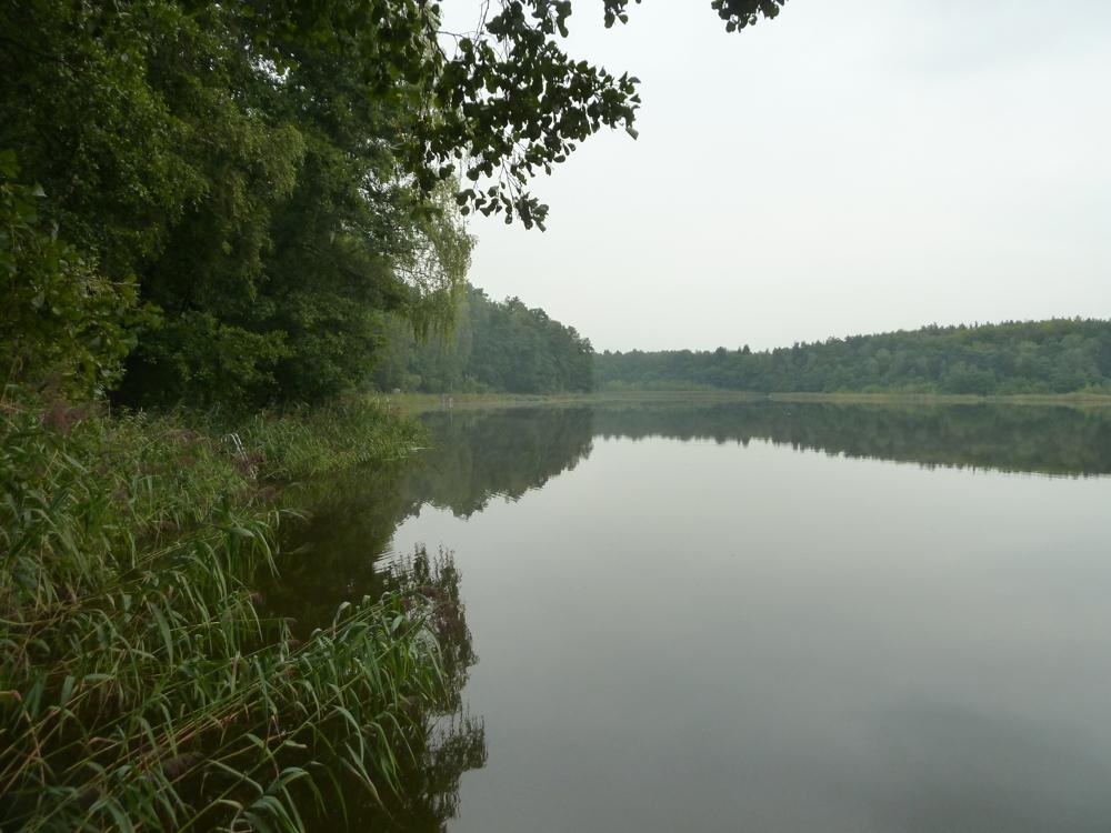 Blick auf den Göhlensee