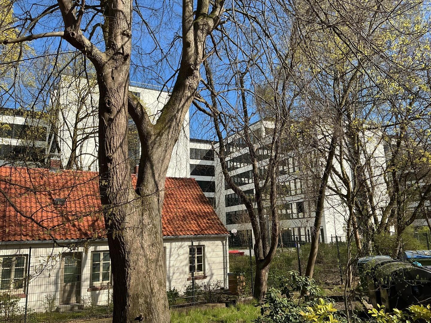 Nachbarbebauung Neubau