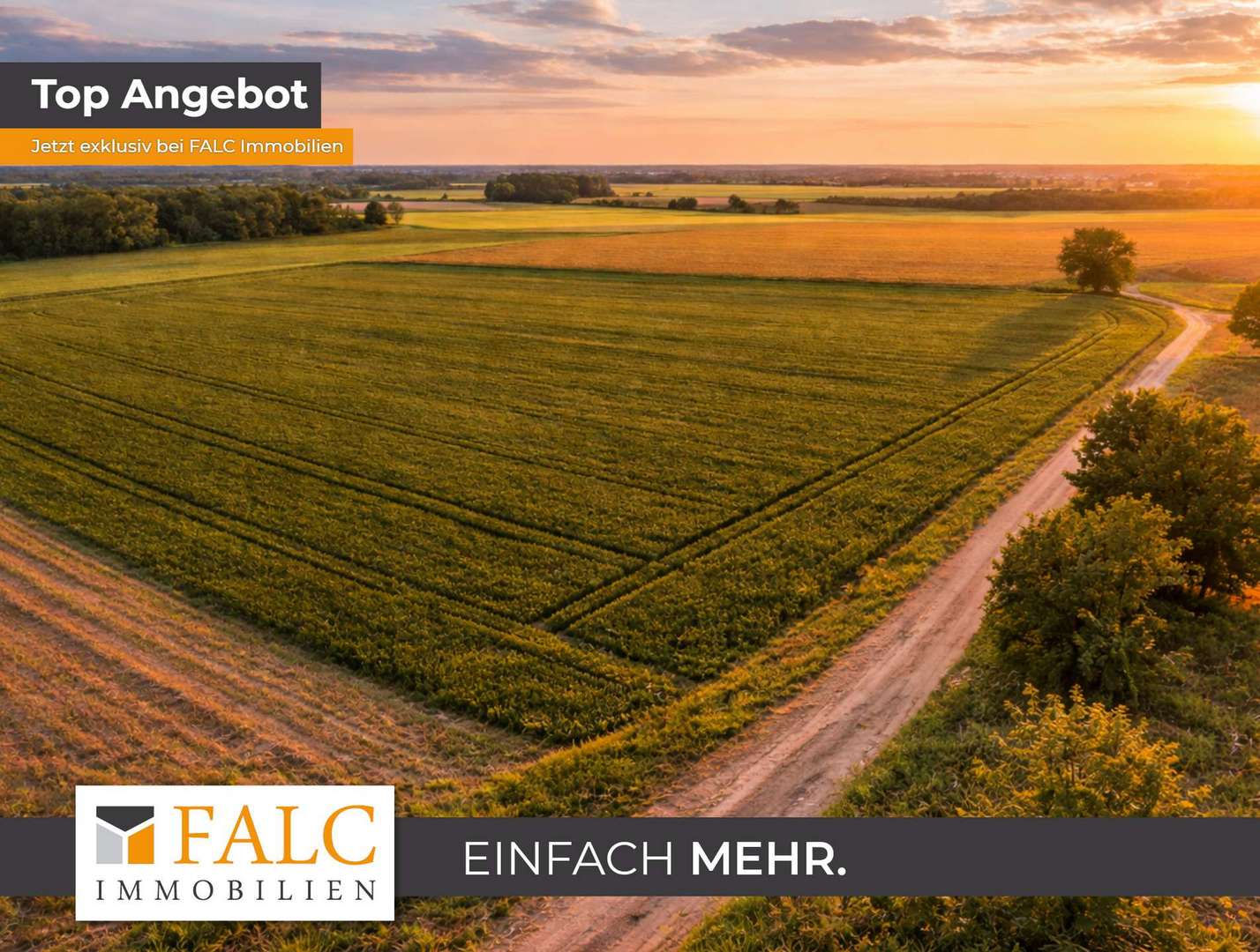 Ackerfläche Beispielbild 