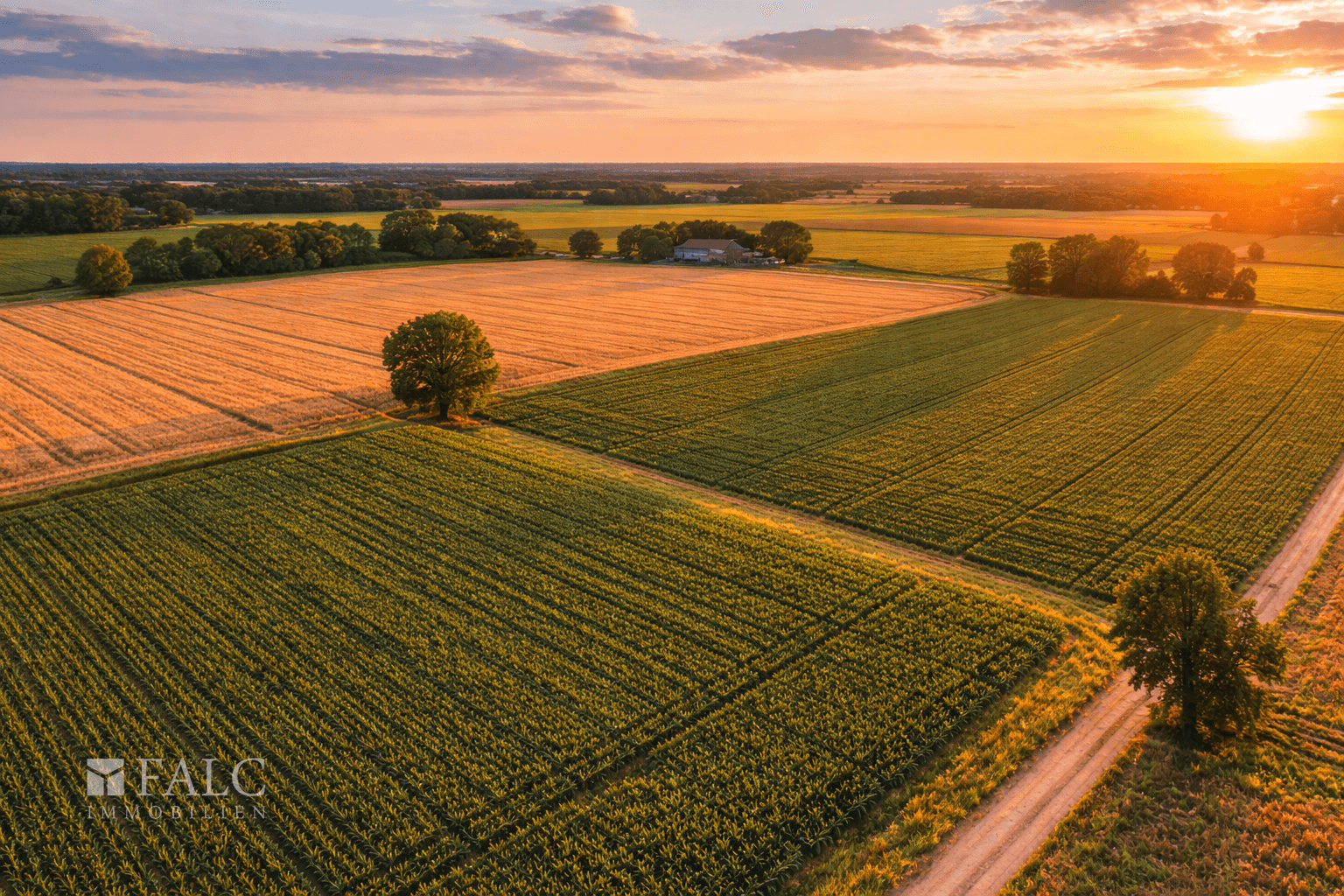 Ackerfläche Beispielbild