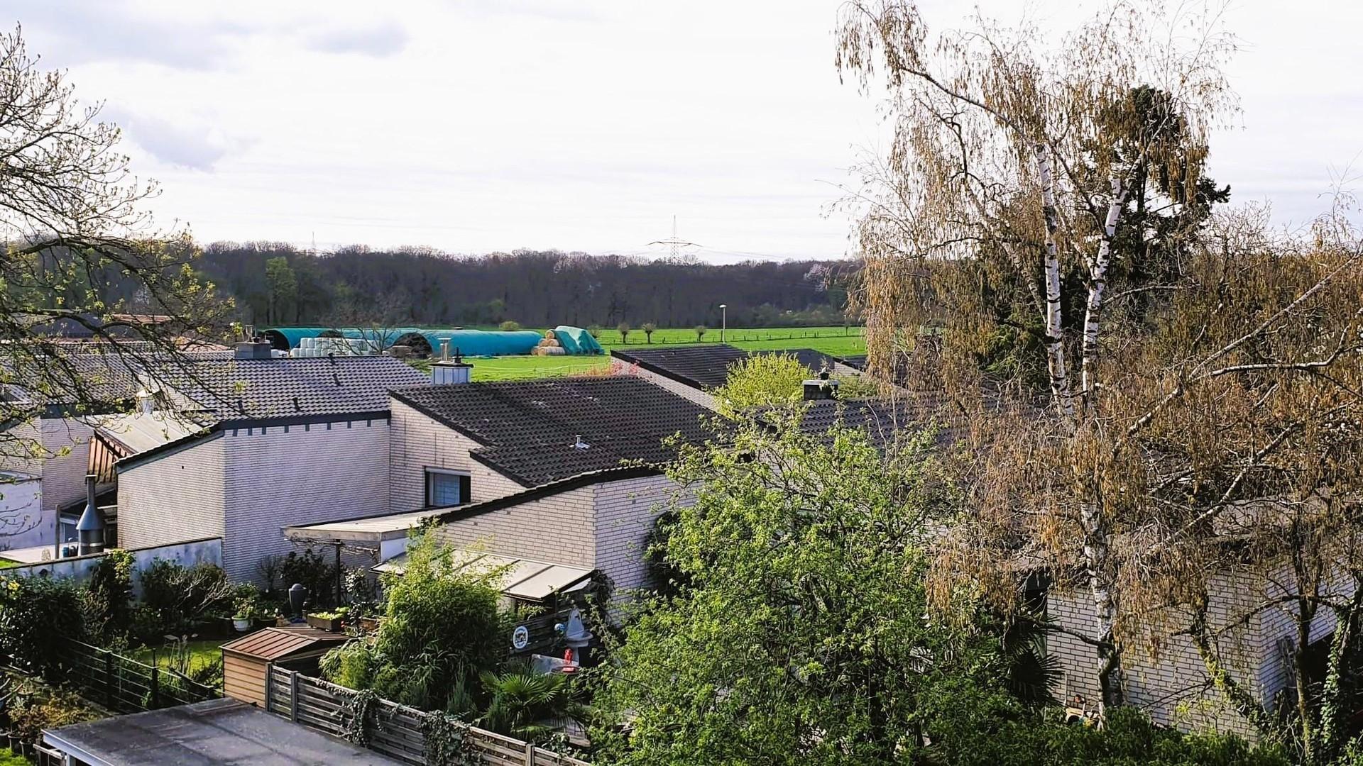 Ausblick Dachfenster