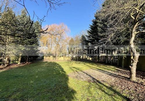 Blick in den hinteren Garten