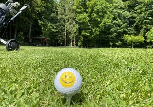 Wiese/Koppel  direkt am Haus 