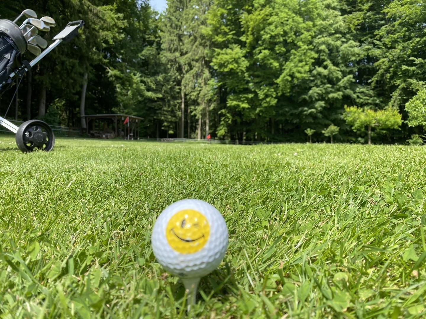 Wiese/Koppel  direkt am Haus 