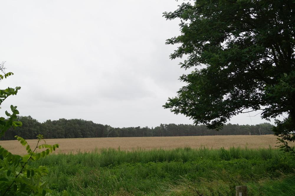 Umgebung