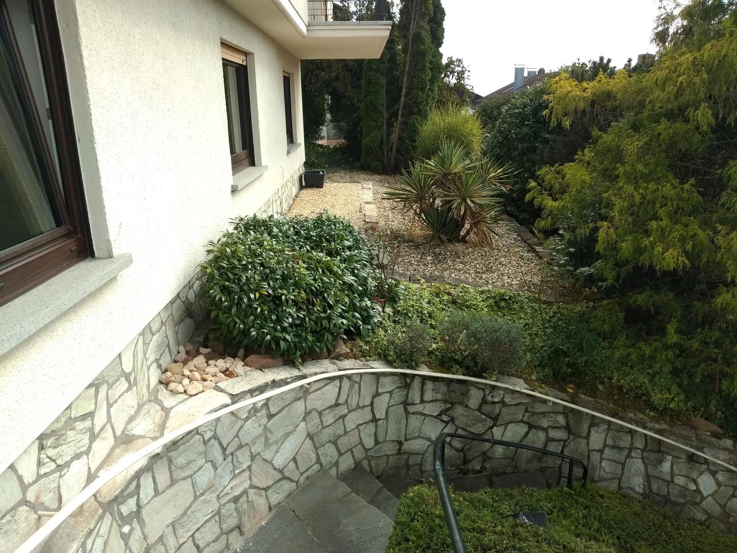 Außenansicht (Richtung Westen)