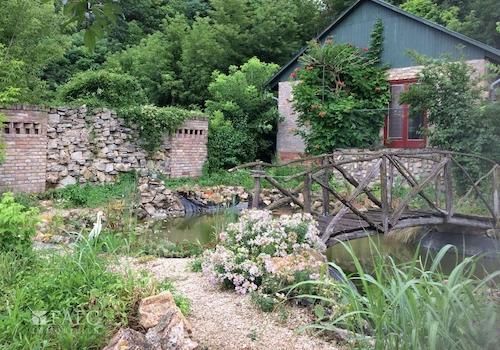 Forest House near fish pond
