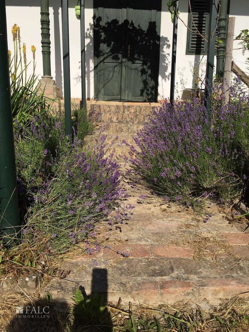 Garden - entrance to Suite unit