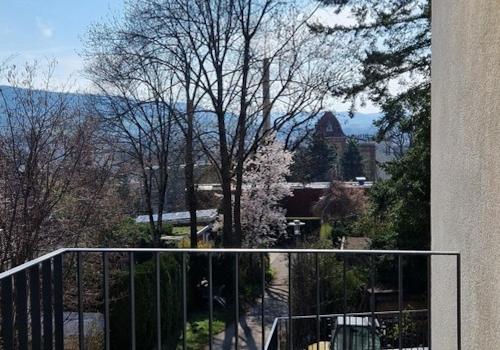 Blick von der Terasse