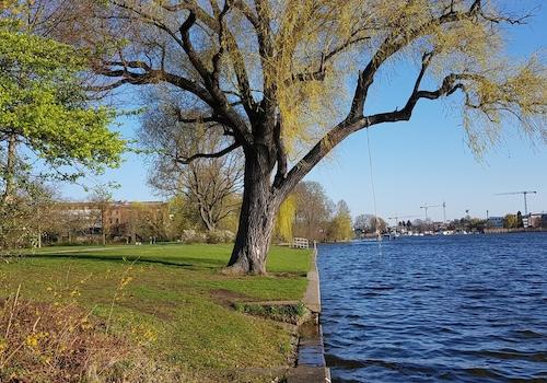Wunderschöner Park nebenan