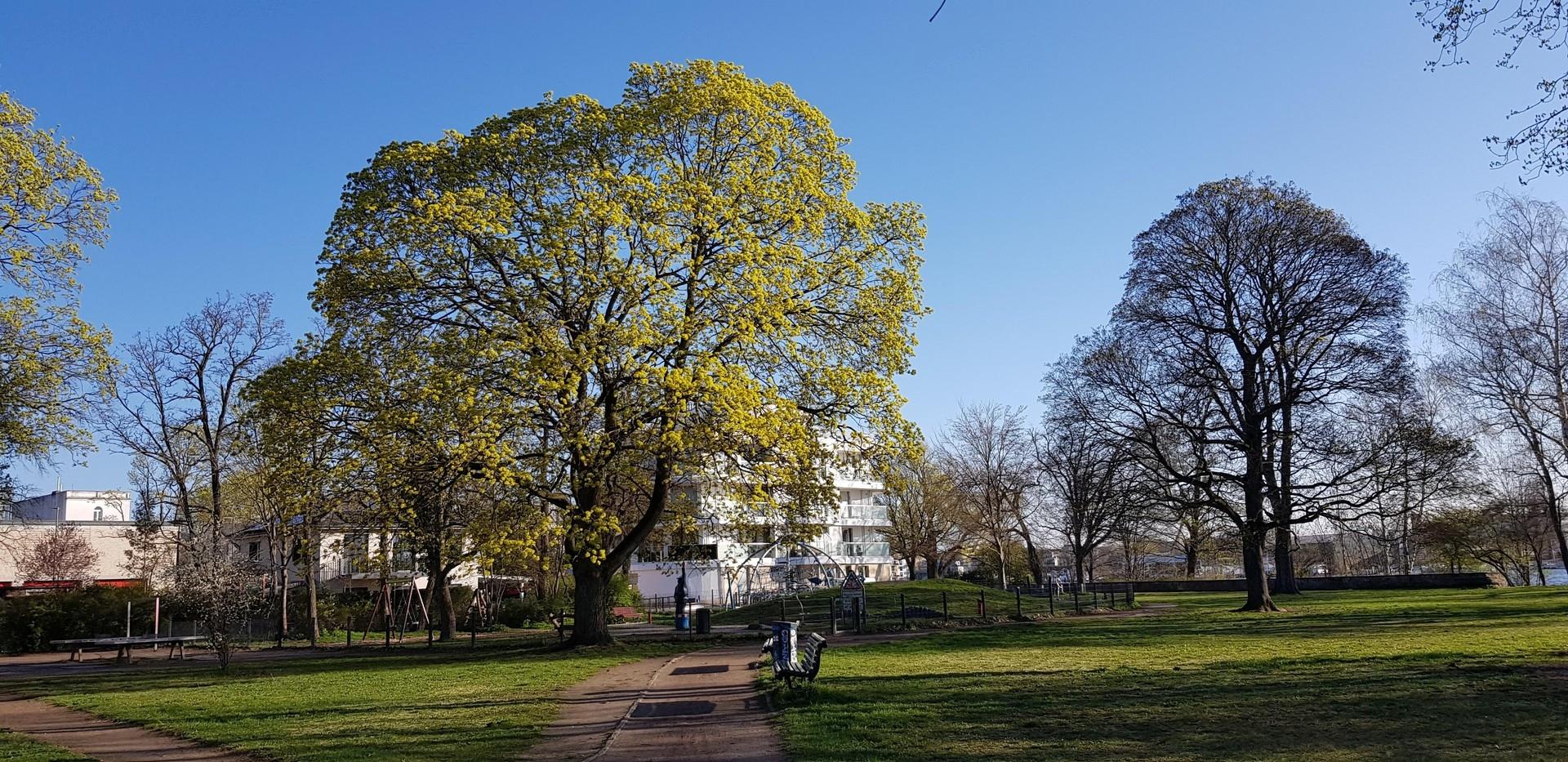 ...mit Abenteuerspielplatz