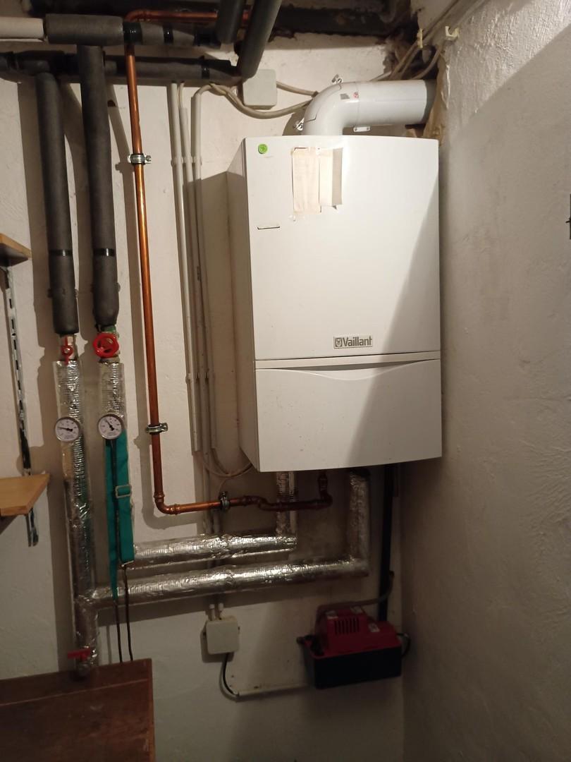 Gastherme im Heizungskeller