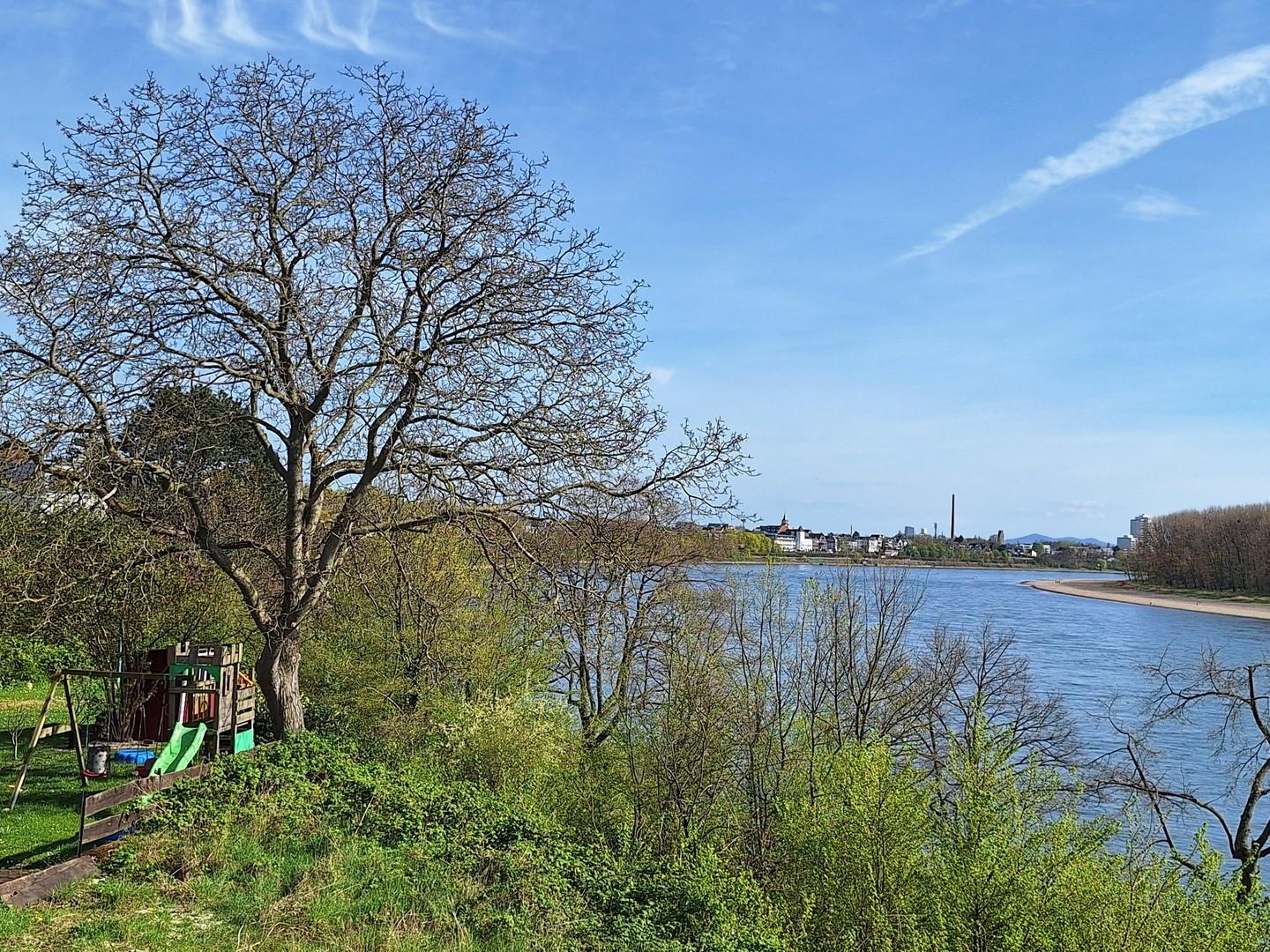 Rheinblick rheinaufwärs