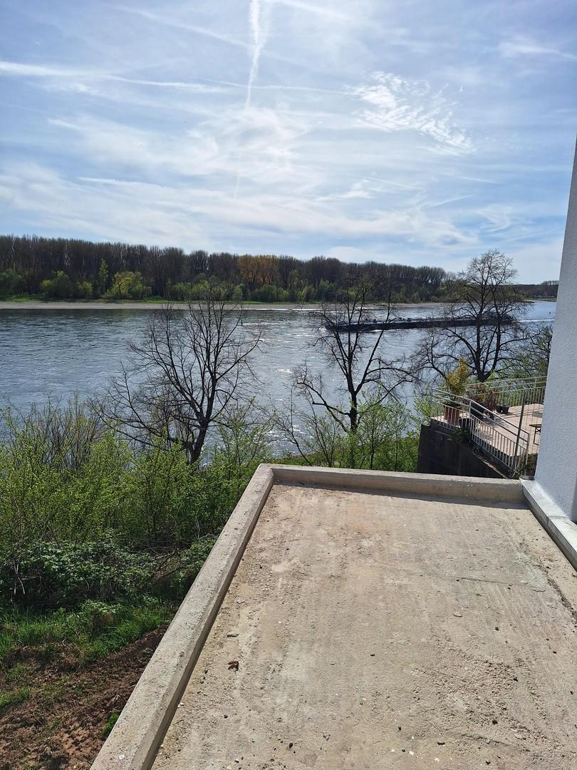 Rheinblick rheinabwärts