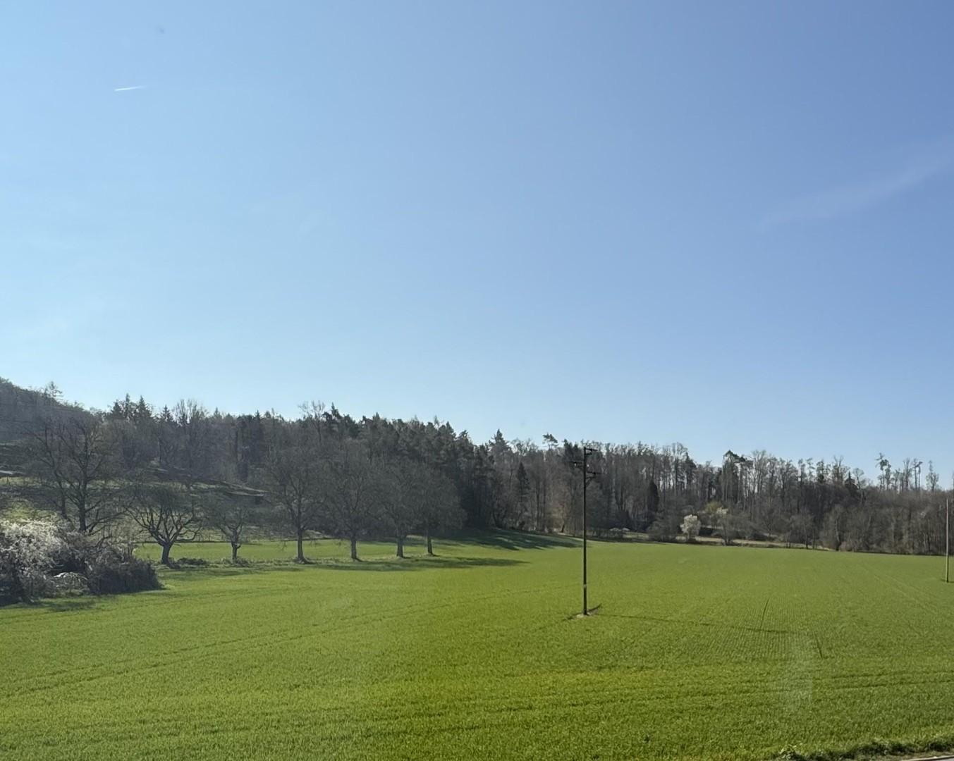 Ausblick OG und Gartenseite