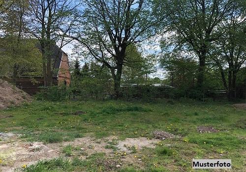 Keine Originalbilder