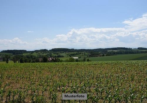 Keine Originalbilder