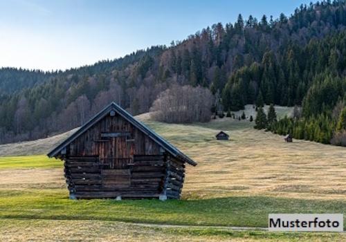 Keine Originalbilder