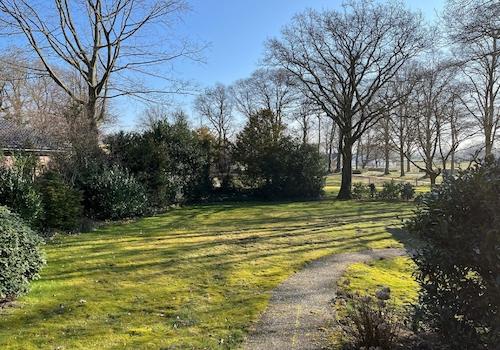 Blick in den hinteren Garten