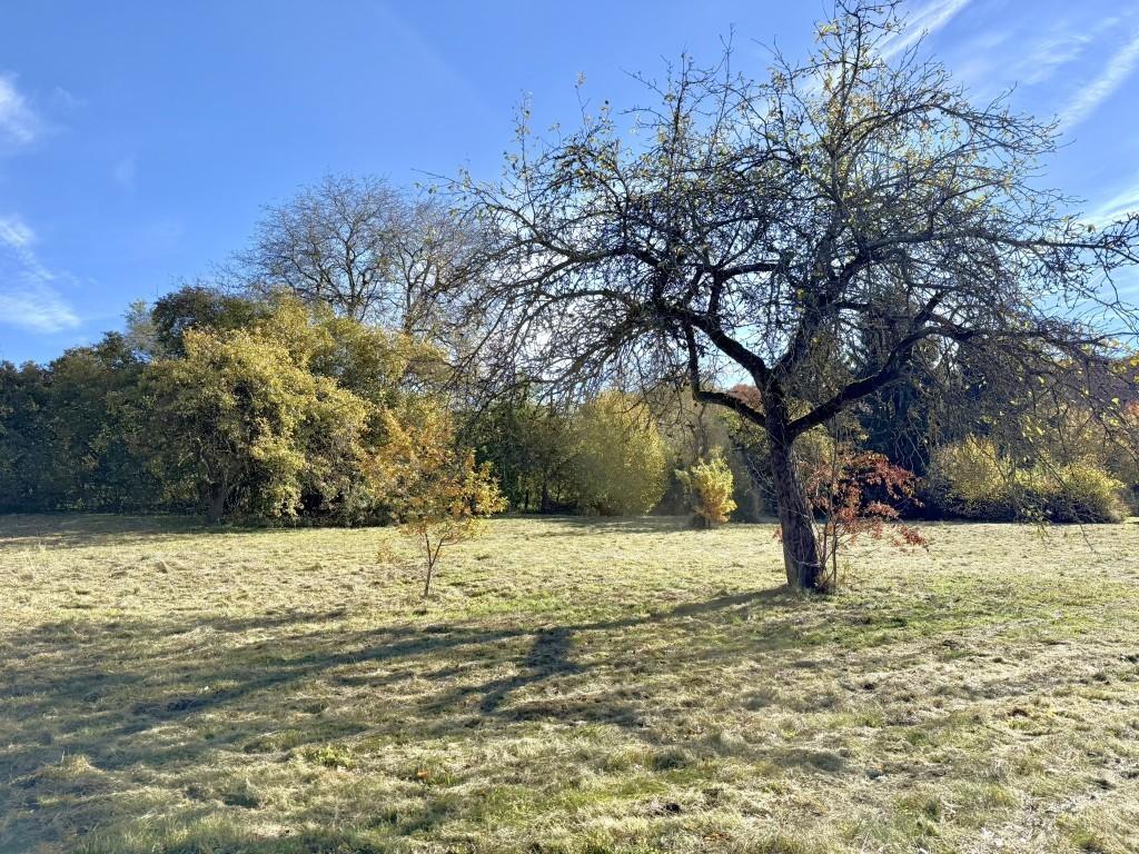 Starnberg Grundstück
