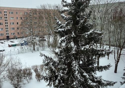 Blick in den winterlichen Hof