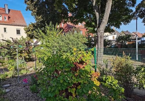Garten