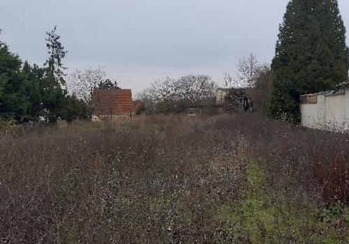 Baugrundstück Garten